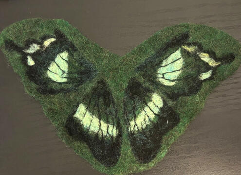 Butterfly Wings Butterfly Wings