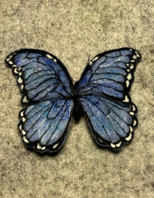 Blue Morpho