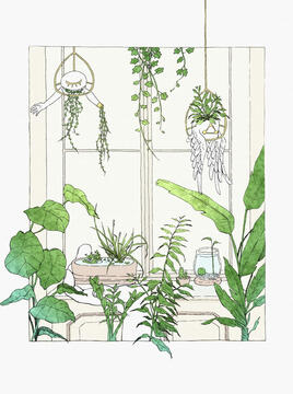 Plants